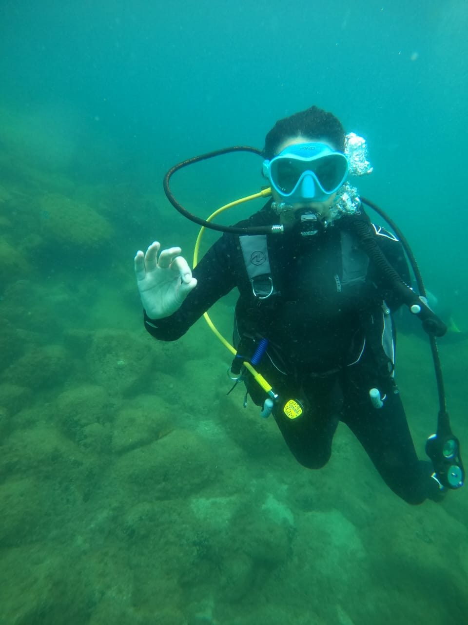 Alumnos PROCER DIVER